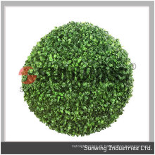 Buxus Boxwood Buxus verde escuro bola de buxo preservado